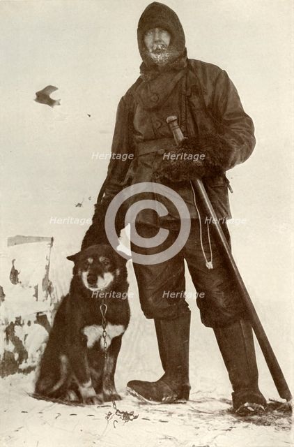 'C. H. Meares and 'Osman', The Leader of the Dogs', 28 August 1911, (1913). Artist: Herbert Ponting.