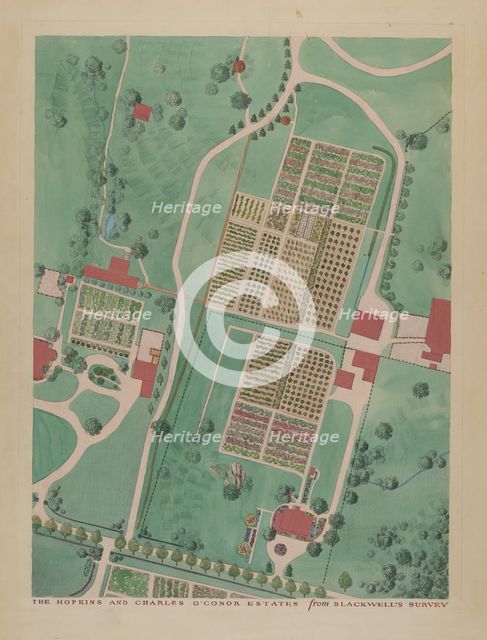 C. O'Connor and J.M. Hopkins Estate, c. 1936. Creators: Gilbert Sackerman, Helen Miller.