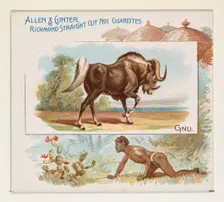 Gnu, from Quadrupeds series (N41) for Allen & Ginter Cigarettes, 1890. Creator: Allen & Ginter