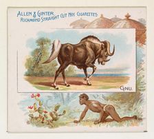 Gnu, from Quadrupeds series (N41) for Allen & Ginter Cigarettes, 1890. Creator: Allen & Ginter