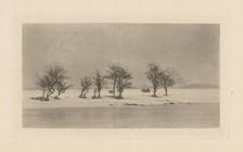 Gnarled Thorn Trees, 1893, printed 1895. Creator: Dr Peter Henry Emerson