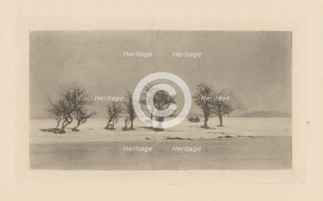 Gnarled Thorn Trees, 1893, printed 1895. Creator: Dr Peter Henry Emerson.