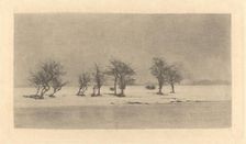 Gnarled-Thorn Trees, c. 1890, printed c. 1895. Creator: Dr Peter Henry Emerson