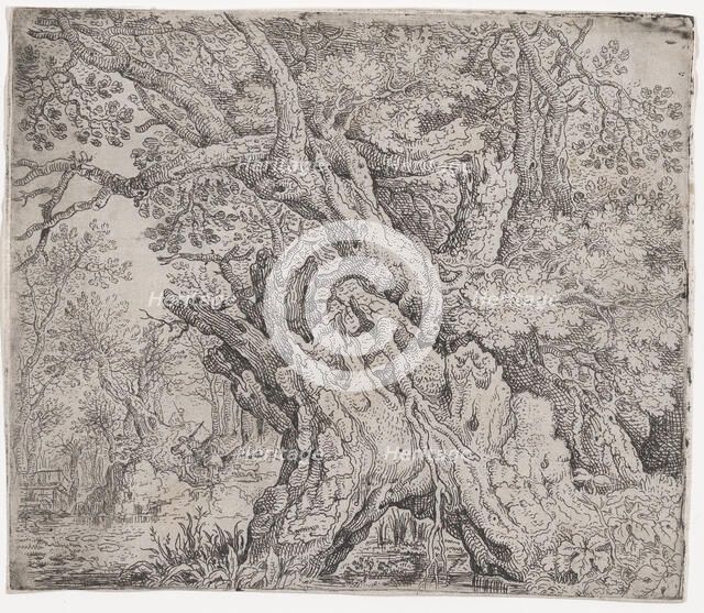 Gnarled Tree, ca. 1608-09. Creator: Roelandt Savery.