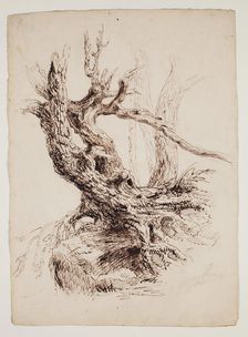 Gnarled Tree Trunk, c1826. Creator: Thomas Cole