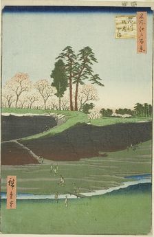 Goten Hill at Shinagawa (Shinagawa Gotenyama), from the series "One Hundred Famous...1856. Creator: Ando Hiroshige