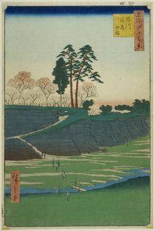 Goten Hill at Shinagawa (Shinagawa Gotenyama), from the series "One Hundred Famous..., 1856. Creator: Ando Hiroshige