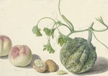 Gourd, two peaches and a walnut, 1714-1760. Creator: Michiel van Huysum