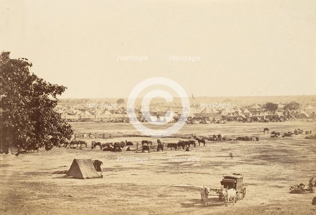 Governor General's and Commander in Chief's Camp, Jullundur, 1858-61. Creator: Unknown.
