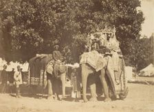 Governor General's State Elephant and Silver Howdah, 1858-61. Creator: Unknown