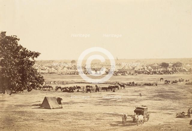 Governor General's and Commander in Chief's Camp, Jullundur, 1858-61. Creator: Unknown.