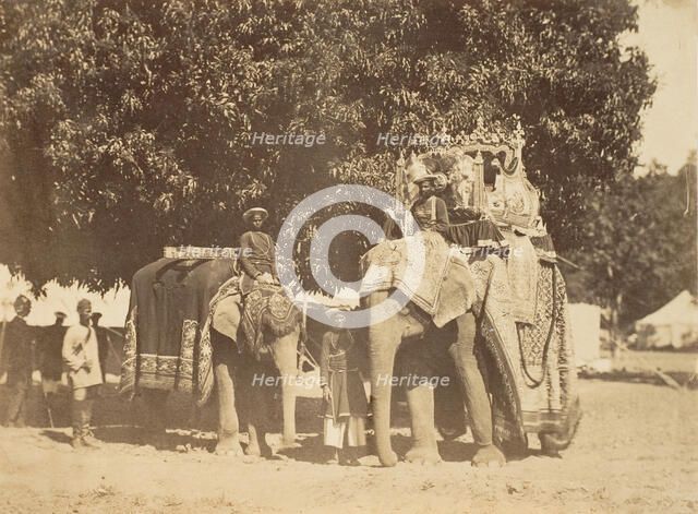 Governor General's State Elephant and Silver Howdah, 1858-61. Creator: Unknown.