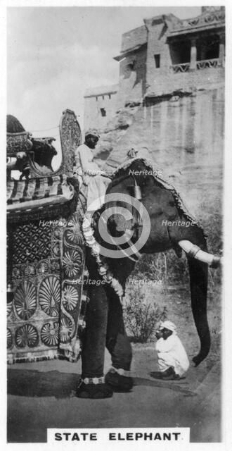 Government elephant in state costume, South India, c1925. Artist: Unknown