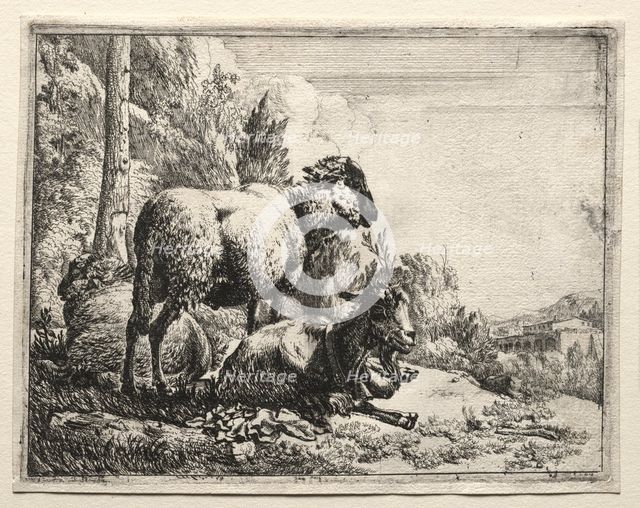 Goat with Bell, 1665. Creator: Johann Heinrich Roos (German, 1631-1685).