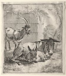 Goat and Donkeys. Creator: Johann Heinrich Roos (German, 1631-1685)