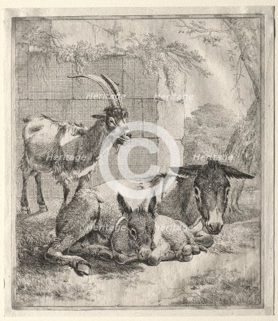 Goat and Donkeys. Creator: Johann Heinrich Roos (German, 1631-1685).