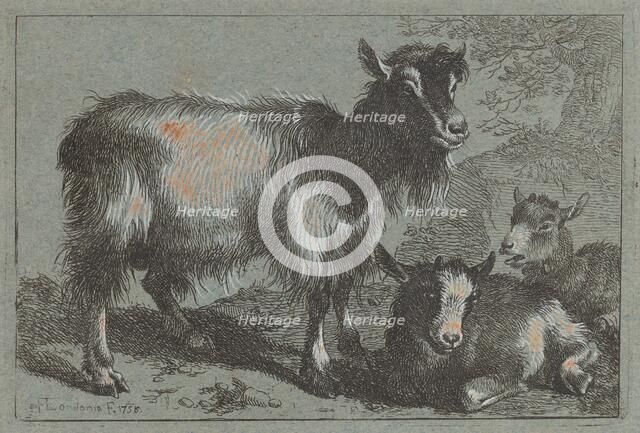 Goat and Two Kids, 1758. Creator: Francesco Londonio.
