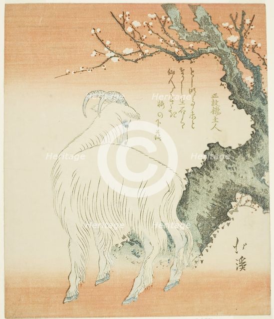 Goat beneath a plum tree, n.d. Creator: Totoya Hokkei.