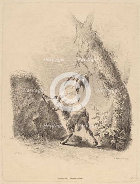 Goat in a Landscape, 1805. Creator: Adam von Bartsch.