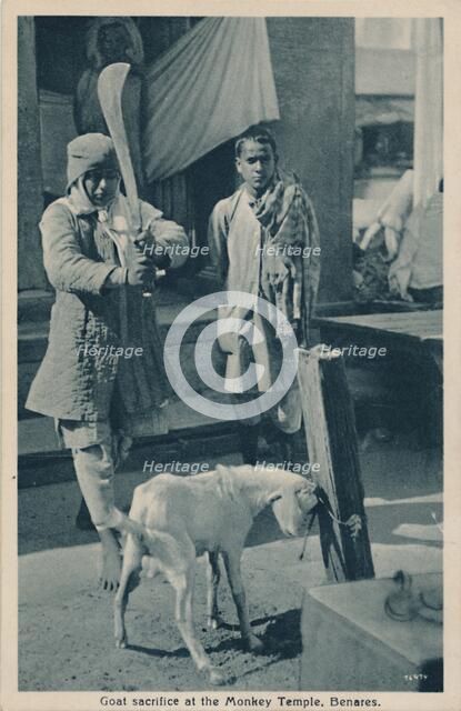 'Goat sacrifice at the Monkey Temple, Benares'. Creator: Unknown.
