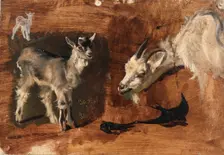 Goats. Creator: Eliphalet Frazer Andrews