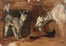 Goats. Creator: Eliphalet Frazer Andrews