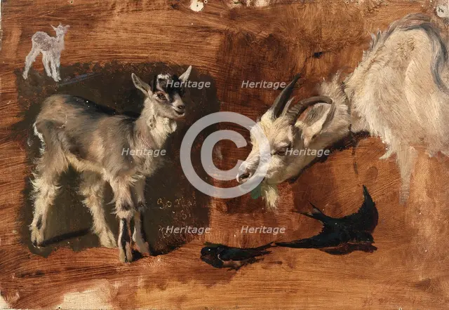 Goats. Creator: Eliphalet Frazer Andrews.