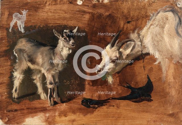 Goats. Creator: Eliphalet Frazer Andrews.