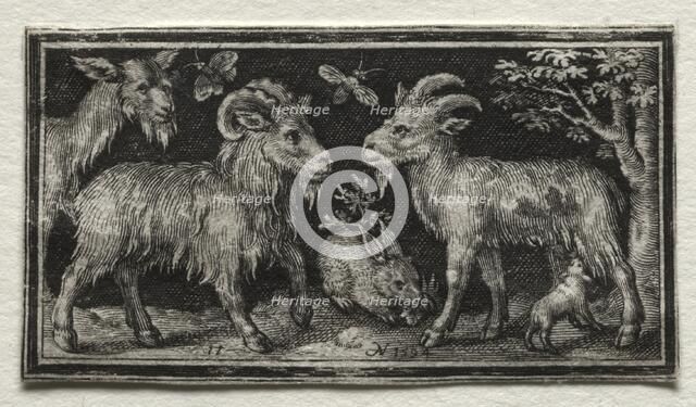Goats and Hare, 1594. Creator: Nicolaes de Bruyn (Netherlandish, 1571-1656); A. van Londerseel.
