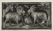 Goats and Hare, 1594. Creator: Nicolaes de Bruyn (Netherlandish, 1571-1656); A. van Londerseel