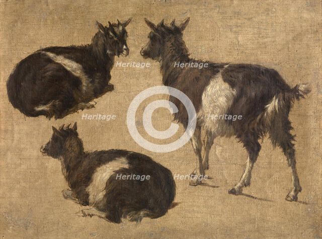 Goats, c1870s. Creator: Andre Plumot.