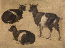 Goats, c1870s. Creator: Andre Plumot