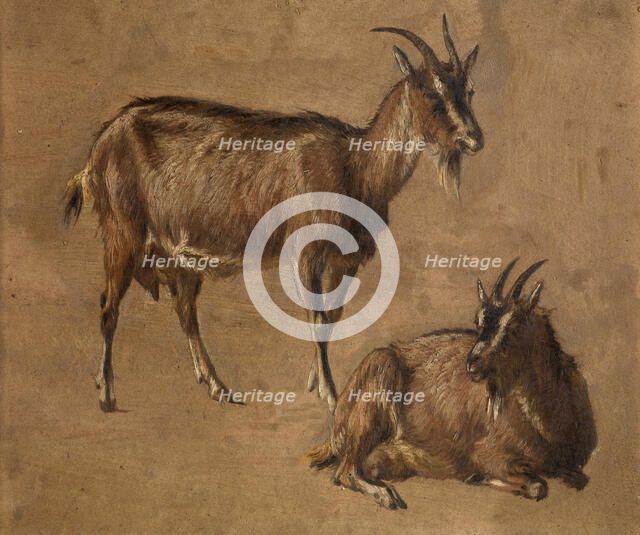 Goats, c1870s. Creator: Andre Plumot.