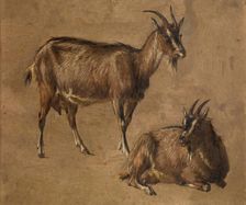 Goats, c1870s. Creator: Andre Plumot