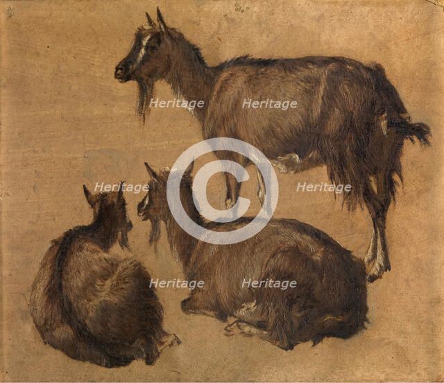 Goats, c1870s. Creator: Andre Plumot.