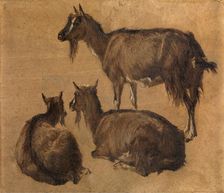 Goats, c1870s. Creator: Andre Plumot