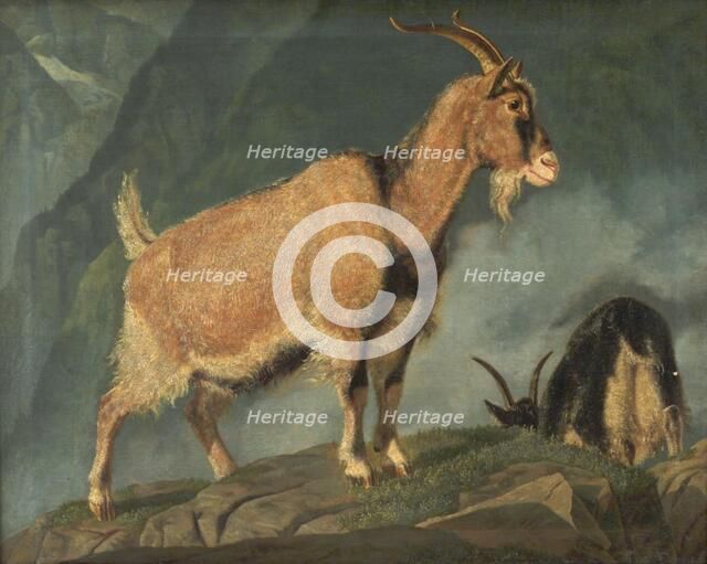 Goats in the Alps, 1834. Creator: Christian Frederik Carl Holm.