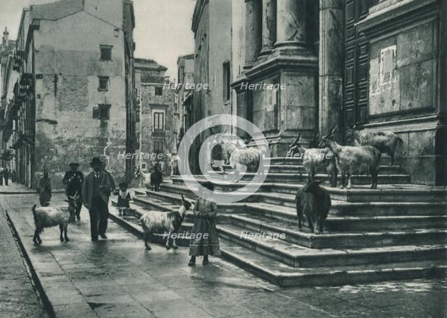 Goats on the steps of the Cathedral, Palermo, Sicily, Italy, 1927. Artist: Eugen Poppel.