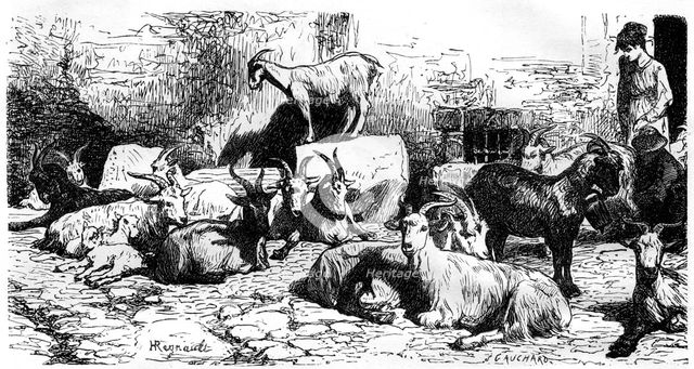 Goats of the Roman countryside, Italy, 19th century. Artist: J Cauchard