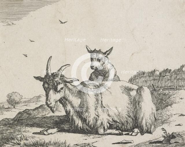 Goats: Plate 6: Nanny goat and kid, Mid 17th century. Creator: Marcus de Bye.