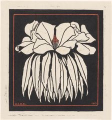 Godetia, 1919. Creator: Julie de Graag