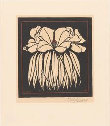 Godetia, 1919. Creator: Julie de Graag