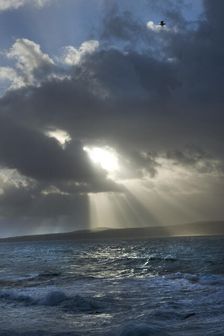 Godrevy Lighthouse, Godrevy Island, Gwinear-Gwithian, Cornwall, 2011. Creator: Peter Williams