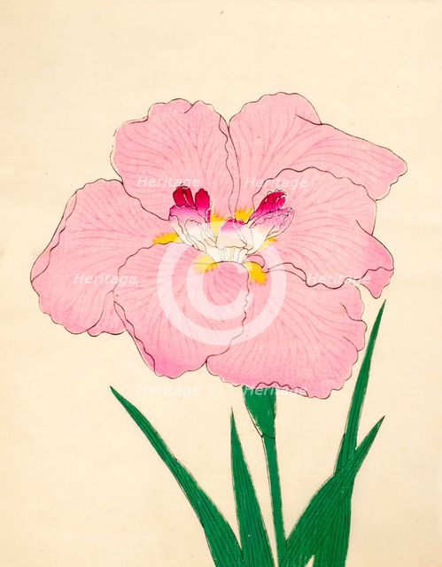 Gofukushoshu, No. 86, 1890, (colour woodblock print)