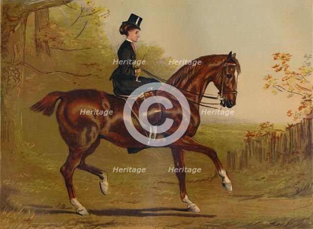 'Going To Cover - A Portrait', c1879. Creator: Alfred Chantrey Corbould.