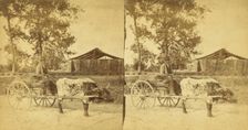 Going to market. [Man on an oxcart], (1868-1900?). Creator: O. Pierre Havens