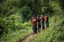 Going to the Field. Creator: Dorte Verner