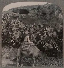 Golgotha (The Place of the Skull) c1900