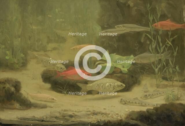 Gold- and Silverfish in an Aquarium, 1890-1922. Creator: Gerrit Willem Dijsselhof.