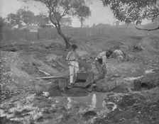 Gold-Digging in Australia 19th century